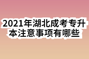 2021年湖北成考专升本注意事项有哪些