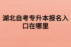 湖北自考专升本报名入口在哪里