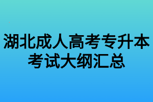 湖北成人高考专升本考试大纲汇总