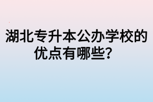湖北专升本公办学校的优点有哪些?