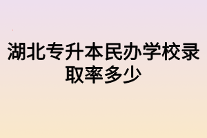 湖北专升本民办学校录取率多少