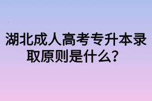 湖北成人高考专升本录取原则是什么？