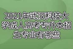 2021年武汉科技大学成人高考专升本招生专业有哪些