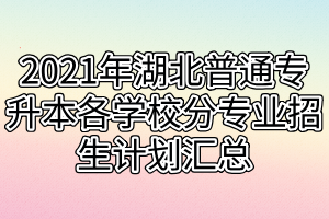 2021年湖北普通专升本各学校分专业招生计划汇总