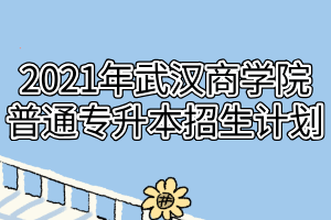 2021年武汉商学院普通专升本招生计划