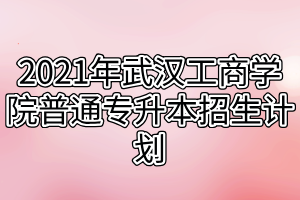 2021年武汉工商学院普通专升本招生计划