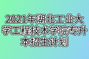 2021年湖北工业大学工程技术学院专升本招生计划