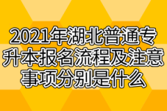 2021年湖北普通专升本报名流程及注意事项分别是什么