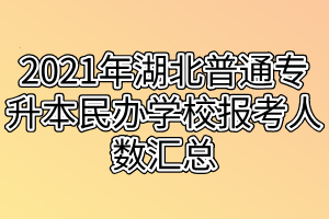 2021年湖北普通专升本民办学校报考人数汇总