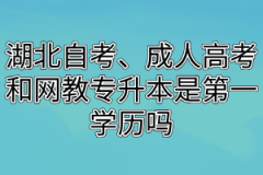 湖北自考、成人高考和网教专升本是第一学历吗？