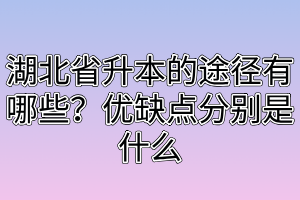 湖北省升本的途径有哪些?优缺点分别是什么
