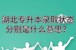 湖北专升本录取状态分别是什么意思?