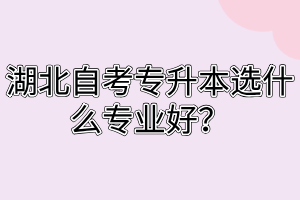 湖北自考专升本选什么专业好？