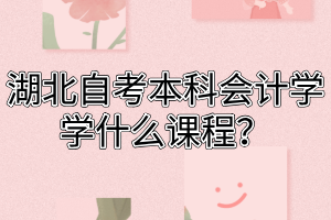 湖北自考本科会计学学什么课程？