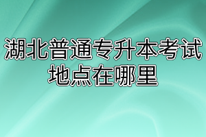 湖北普通专升本考试地点在哪里