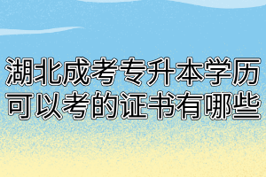 湖北成考专升本学历可以考的证书有哪些