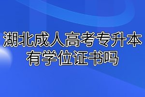 湖北成人高考专升本有学位证书吗