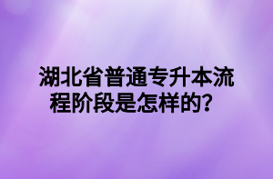 湖北省普通专升本流程阶段是怎样的？