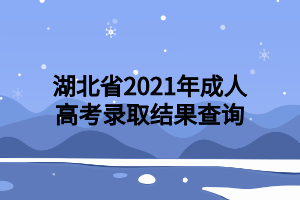 湖北省2021年成人高考录取结果查询