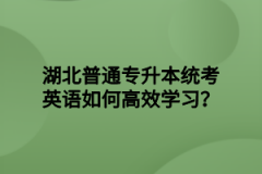 湖北普通专升本统考英语如何高效学习？