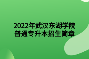 2022年武汉东湖学院专升本招生简章