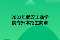 2022年武汉工商学院专升本招生简章