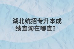 湖北统招专升本成绩查询在哪查？