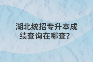 湖北统招专升本成绩查询在哪查？