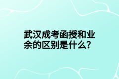 武汉成考函授和业余的区别是什么？