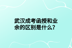 武汉成考函授和业余的区别是什么？