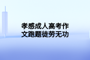 孝感成人高考作文跑题徒劳无功