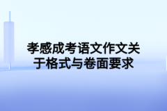 孝感成考语文作文关于格式与卷面要求