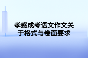 孝感成考语文作文关于格式与卷面要求