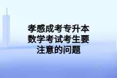 孝感成考专升本数学考试考生要注意的问题